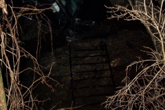 Auto Accident photo 5